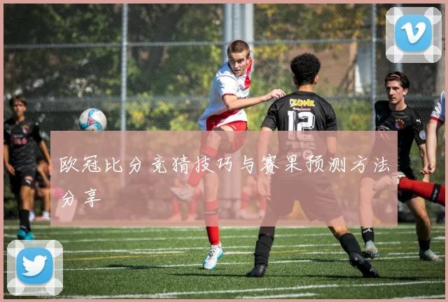 欧冠比分竞猜技巧与赛果预测方法分享